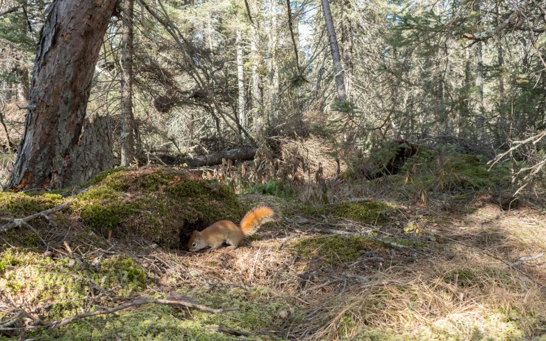 March 2024 Newsletter