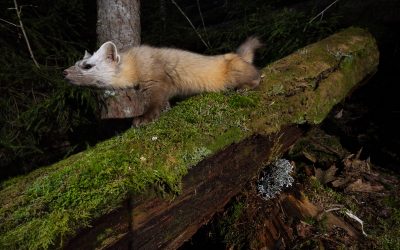 June 2025 Newsletter