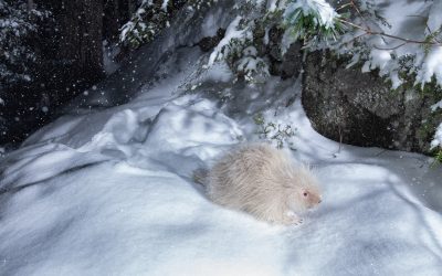 February 2025 Newsletter