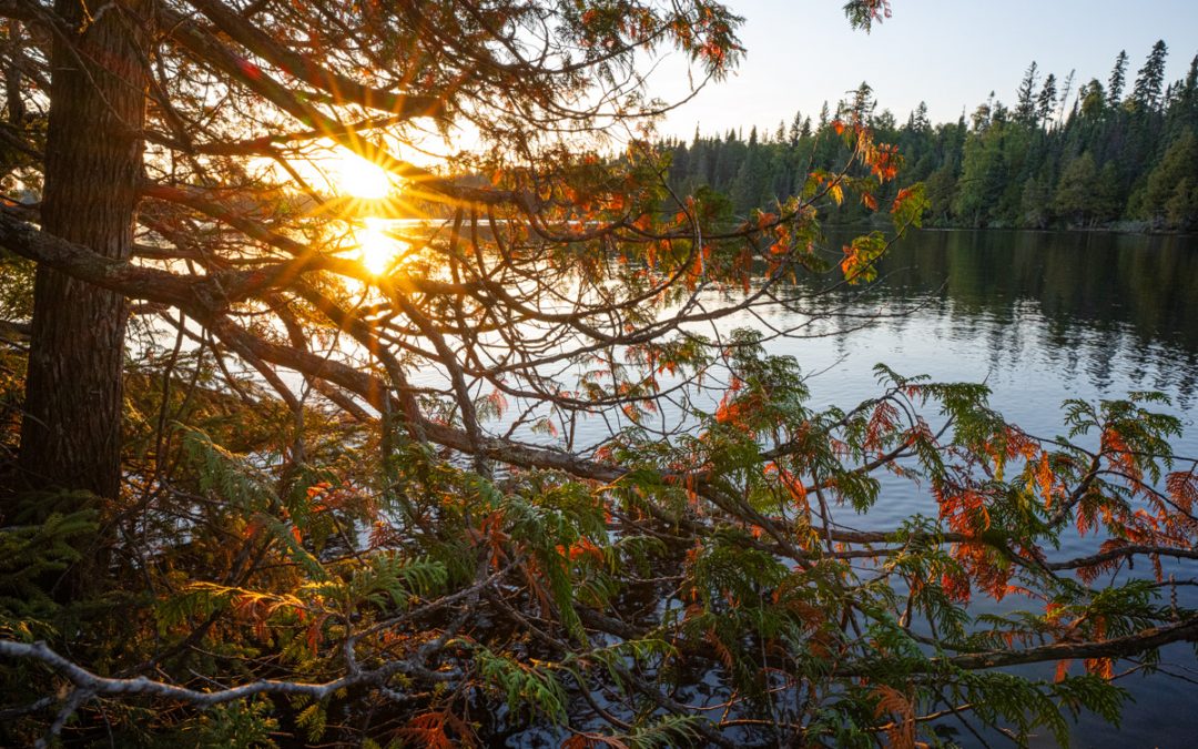 Fall 2025 Newsletter