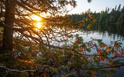 Fall 2025 Newsletter